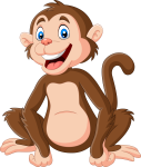 monkey olm